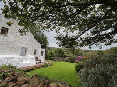A white stone house with a wooden bench next to a green garden with trees and flowering bushes at Penllain in Newport Pembrokeshire