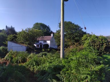 A white house surrounded by trees and bushes with a shed and a utility pole in front at Penllain Newport Pembrokeshire