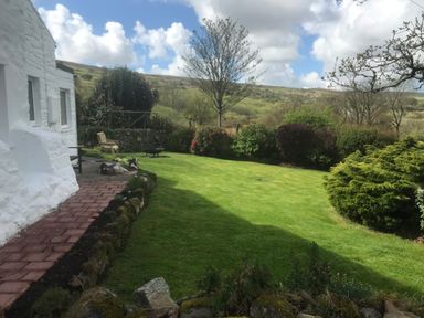 A garden with grass lawn bushes and a tree next to a white stone house at Penllain in Newport Pembrokeshire