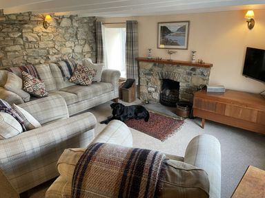 A living room with a dog on the floor at Penllain in Newport, Pembrokeshire