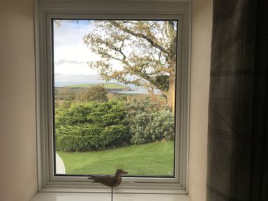 A view from a window with a bird figurine in a living room at Penllain, Newport, Pembrokeshire