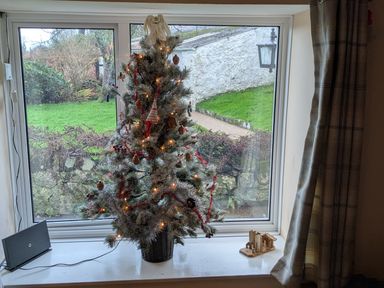 A Christmas tree in front of a window at Penllain Newport, Pembrokeshire