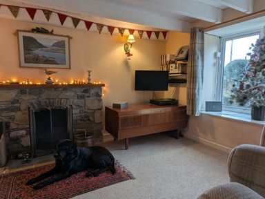 A living room with a fireplace and a dog at Penllain Newport, Pembrokeshire
