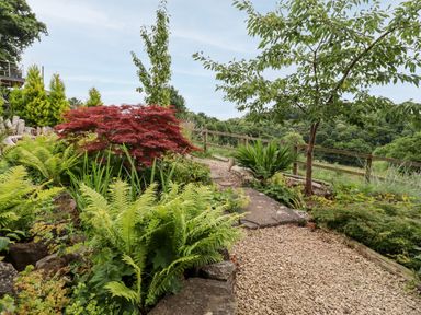 A garden with a gravel path surrounded by various plants and trees overlooking a wooded area at The Stable in Lydney
