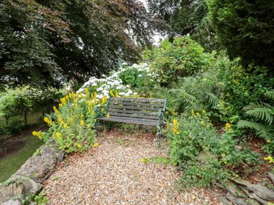 A wooden bench on gravel surrounded by yellow and white flowers and green foliage at The Stable in Lydney