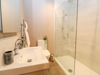 A bathroom with a sink toilet and walk in shower at Shorthorn Barn in Attlebridge near Taverham