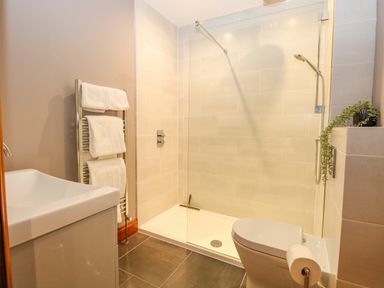 A bathroom with a walk-in shower toilet sink towel rack with towels and a plant on a shelf at Shorthorn Barn in Attlebridge near Taverham