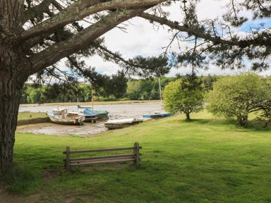 A bench under a tree facing boats on a river with trees in the background at Armando in Devoran Cornwall