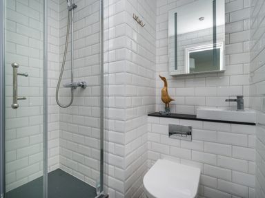 A small bathroom with a glass shower enclosure a toilet a sink a wall mirror and a wooden duck decoration