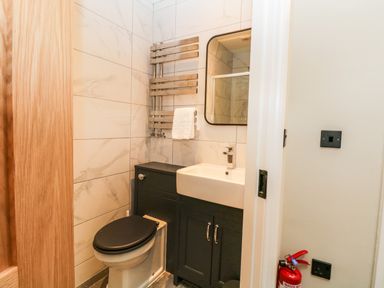 A bathroom with a toilet a sink a black cabinet a wall mirror a towel rack and a fire extinguisher at Netherbeck in Ambleside