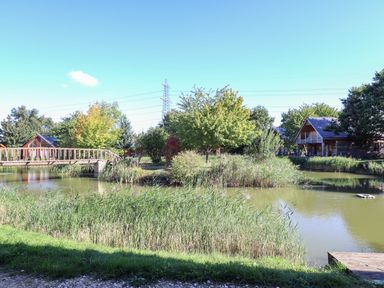 A pond with reeds and a wooden bridge near wooden cabins and trees at Lake View Lodge in Thorpe-On-The-Hill