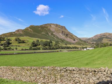 A hillside with trees and grass fields separated by stone walls at Eller Close House in Grasmere