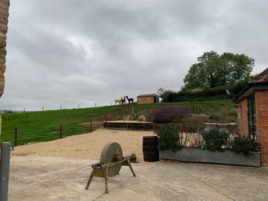 An outdoor area with a grassy hill and three alpacas near a wooden shed next to a brick building with plants in metal planters at Swallows Nest in Puxey near Sturminster Newton