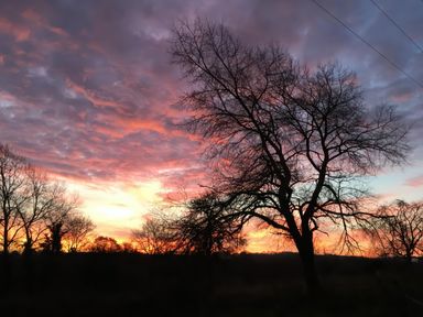 A landscape with leafless trees under a colorful sunset sky