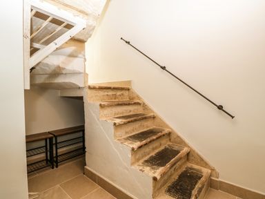A staircase with worn steps and a metal handrail in a basement area with wooden shelves at 23 Daniel Street in Bath