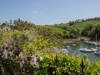 A river with boats and green hills in the background with flowering plants in the foreground at Creekside House in Fowey