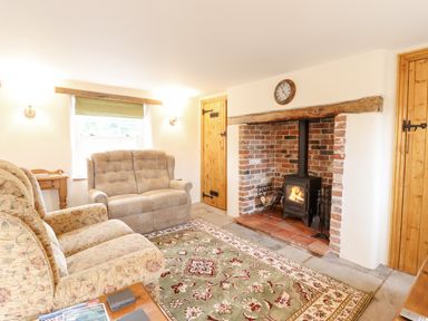 A living room with sofas a rug a fireplace and wooden doors at Postbox Cottage in Feltwell
