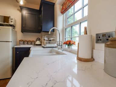 A kitchen countertop with a sink a paper towel holder a flower vase and dark cabinets at Postbox Cottage in Feltwell