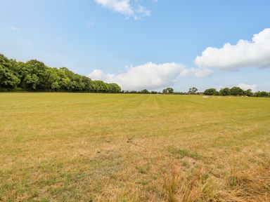 A green field with trees and cows under a blue sky at Postbox Cottage in Feltwell