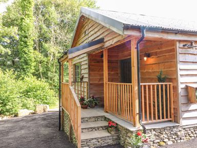 An exterior view of a wooden cabin with a porch and stairs surrounded by trees at The Owl's Shack in Kendal