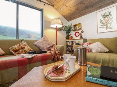 A living room with two sofas a lamp a coffee table with mugs and a French press at The Badgers Shack Garnett Bridge Longsleddale Near Kendal