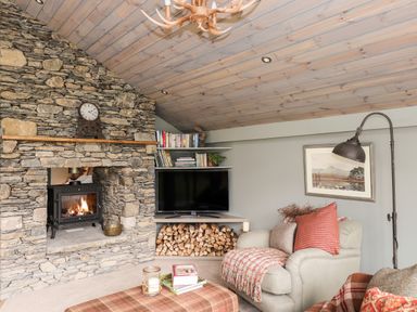 A living room with a stone fireplace with a burning wood stove wood logs under a TV shelves with books an armchair with cushions and a throw a standing lamp and a framed picture on the wall at The Hare's Shack in Garnett Bridge Longsleddale Near Kendal