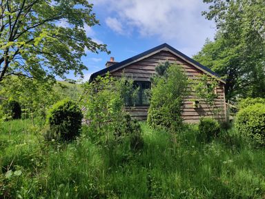 A wooden house surrounded by grass trees and bushes under a blue sky at The Hare's Shack in Garnett Bridge Longsleddale Near Kendal