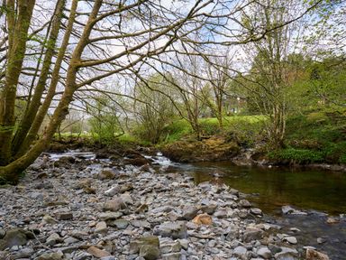 A rocky riverbank with trees and a flowing stream at The Old Water Mill in Kendal