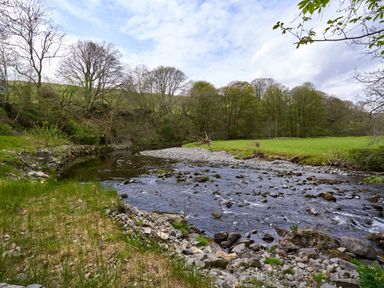 A river with rocks and grassy banks surrounded by trees at The Old Water Mill in Kendal