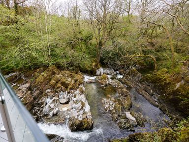 A flowing river with rocks and trees surrounding it at The Old Water Mill in Kendal