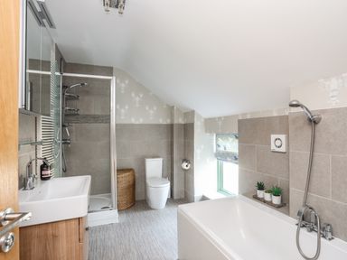 A bathroom with a bathtub shower toilet sink and small plants at Dolwaenydd in Brynsiencyn