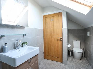 A bathroom with a sink cabinet and mirror next to a wooden door and a toilet under a skylight at Dolwaenydd in Brynsiencyn