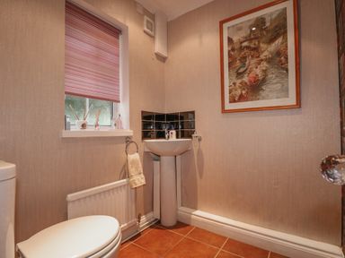A bathroom with a toilet a pedestal sink with soap a window with a pink blind a towel ring with a towel and a framed picture on the wall at Job's Cottage in Snettisham