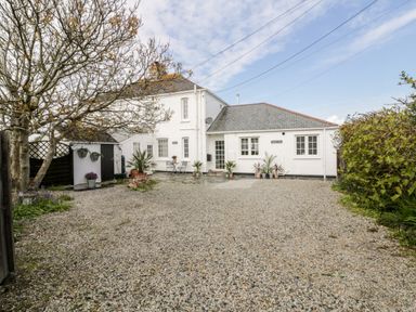 A white house with a gravel driveway surrounded by plants and a tree at Badgers Way in Tintagel