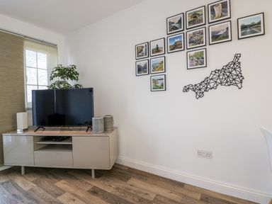 A living room with a television on a stand a plant and framed pictures on the wall at Badgers Way in Tintagel