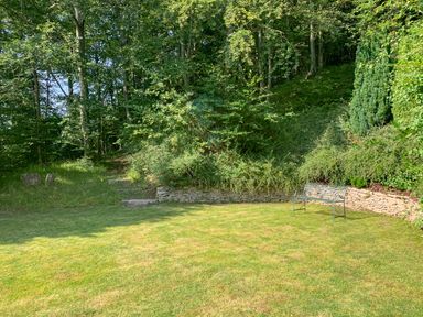 A garden with a metal bench on grass and stone steps leading into a wooded area at Under Catswood in Elcombe near Stroud