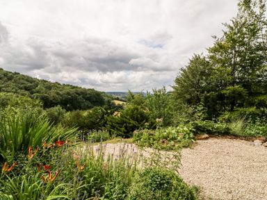 A garden with flowers and shrubs overlooking a wooded hillside at Under Catswood in Elcombe near Stroud