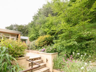 An outdoor area with stone steps and patio surrounded by bushes flowers and trees at Under Catswood in Elcombe near Stroud