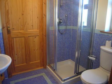 A bathroom with a wooden door a glass shower enclosure a toilet and a sink at Tra Gheal in Kilmore County Wexford
