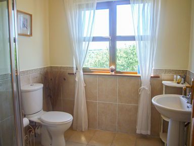 A bathroom with a toilet sink window with curtains and a shelf at Tra Gheal in Kilmore County Wexford