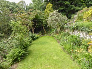 A garden with a grass lawn surrounded by trees and plants at Afallon in Menai Bridge