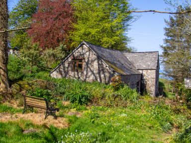 A building surrounded by trees and a bench at Carrows Stable Morwenstow