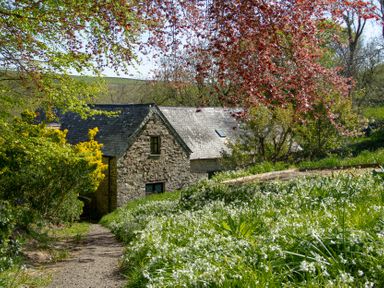 A stone house surrounded by greenery and flowers at Carrows Stable Morwenstow