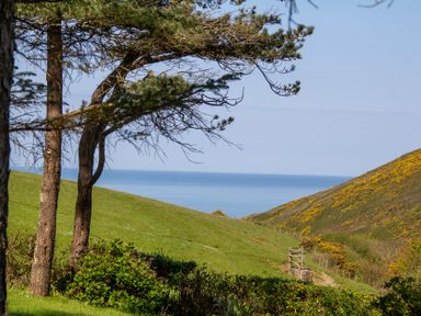 A view of hills and the sea from a grassy area at Carrows Stable in Morwenstow