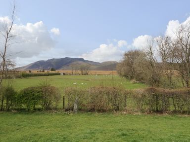 A green field with sheep and trees with mountains in the background at Glen Cottage in Troutbeck near Keswick