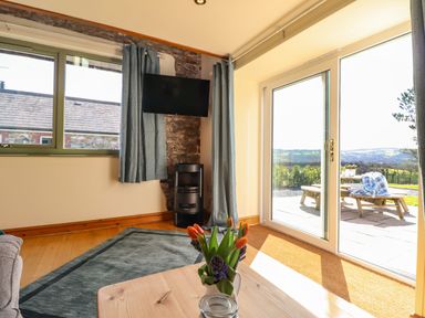 A living room with a television mounted on a stone wall and sliding glass doors leading to a patio at Barcud Cottage Golden Grove near Llandeilo