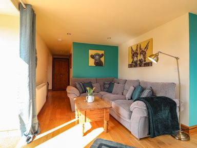 A living room with a grey sectional sofa wooden coffee table floor lamp and animal paintings at Barcud Cottage Golden Grove near Llandeilo