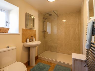 A bathroom with a toilet sink shower area and towel rail at Barcud Cottage Golden Grove near Llandeilo