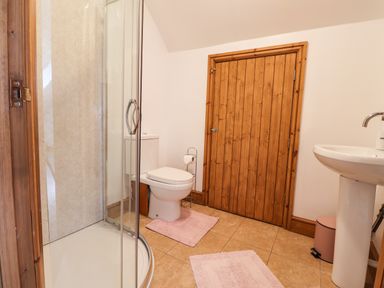 A bathroom with a shower enclosure toilet sink wooden door and pink bath mats at Barcud Cottage Golden Grove near Llandeilo