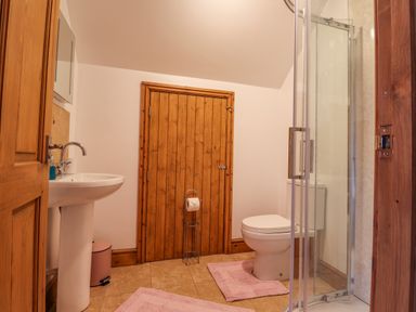 A bathroom with a sink a toilet a wooden door a shower and pink rugs at Gwennol Cottage Golden Grove near Llandeilo